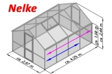 Gewächshaus Nelke