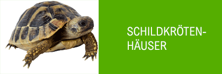 Schildkröten