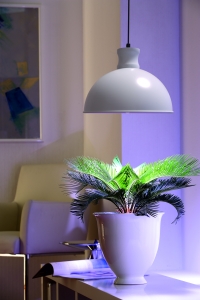 LED Pflanzenleuchte