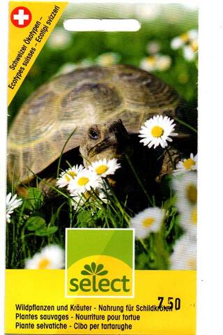 Schildkroeten-Futterpflanzen-Botanicum-Aarau.jpg