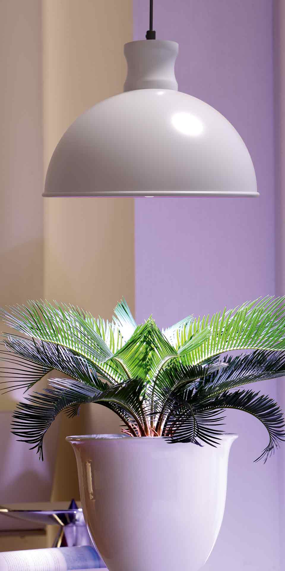 Pflanzenleuchte LED Fixfertig