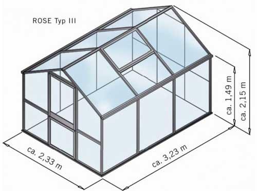 rose III 02