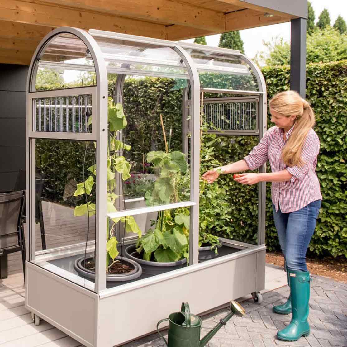 Treibhaus Tomate Frau Botanicum