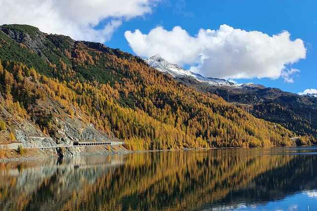 Lärchenwald im Herbst, Hochbeete aus Lärchenholz
